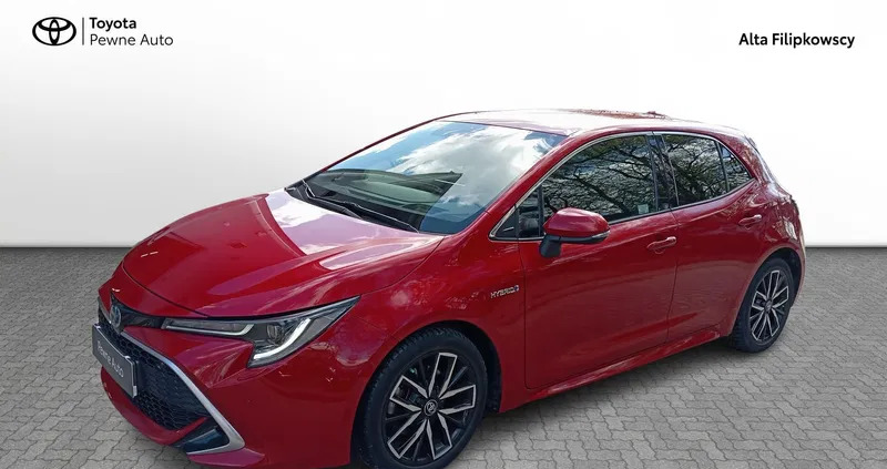 toyota Toyota Corolla cena 103900 przebieg: 53413, rok produkcji 2019 z Świdnica